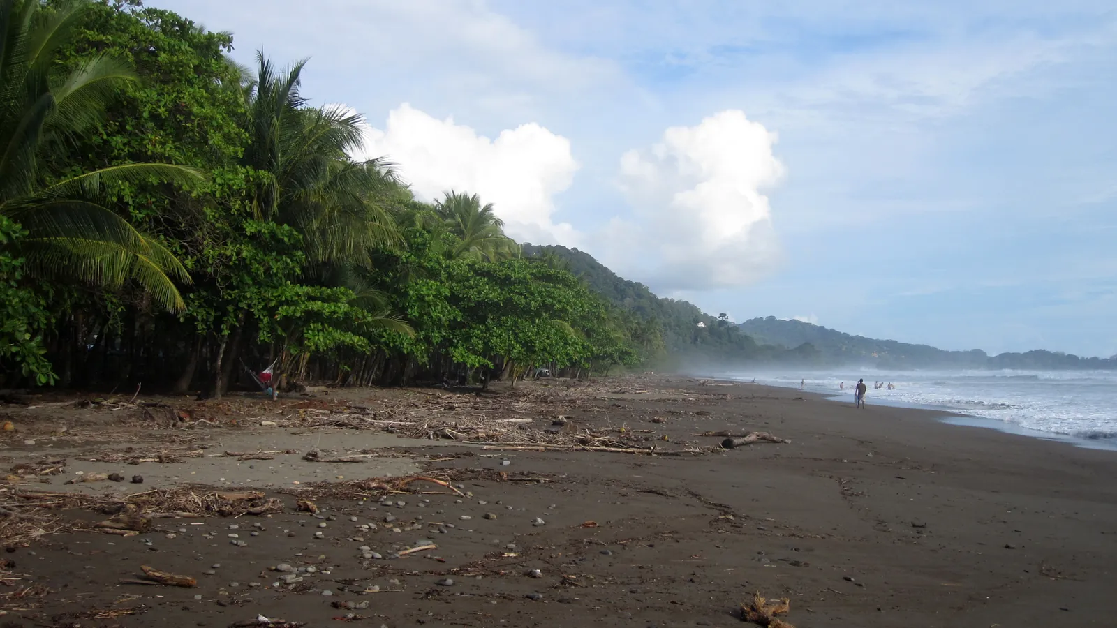Playa abierta de Dominical con palmeras y arena limpia, Costa Ballena, Pacífico Sur de Costa Rica